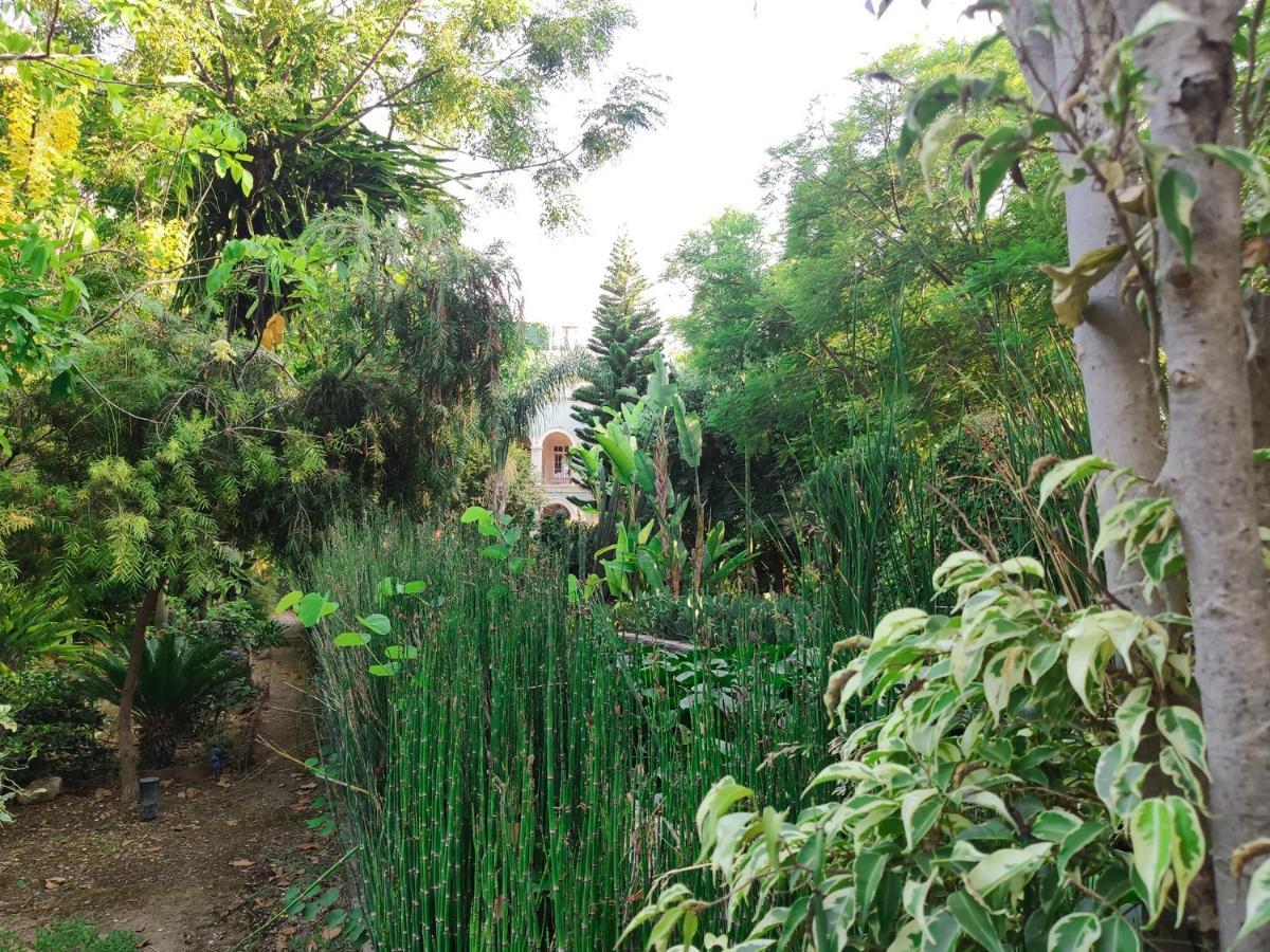 Babil Bahceleri - Gardens Of Babel Bed & Breakfast Lapithos  Exterior photo